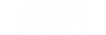 AI WORLD HEALTH SUMMIT 2025 - WebLogo White